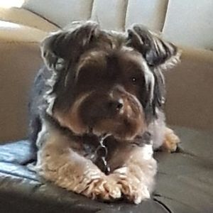 Meet your Posher, Ineke